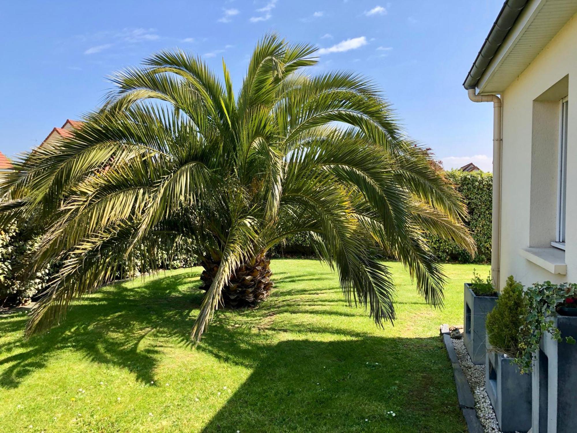 Les Palmiers Gite 7 Personnes Plages Du Debarquement Grandcamp-Maisy Exterior foto