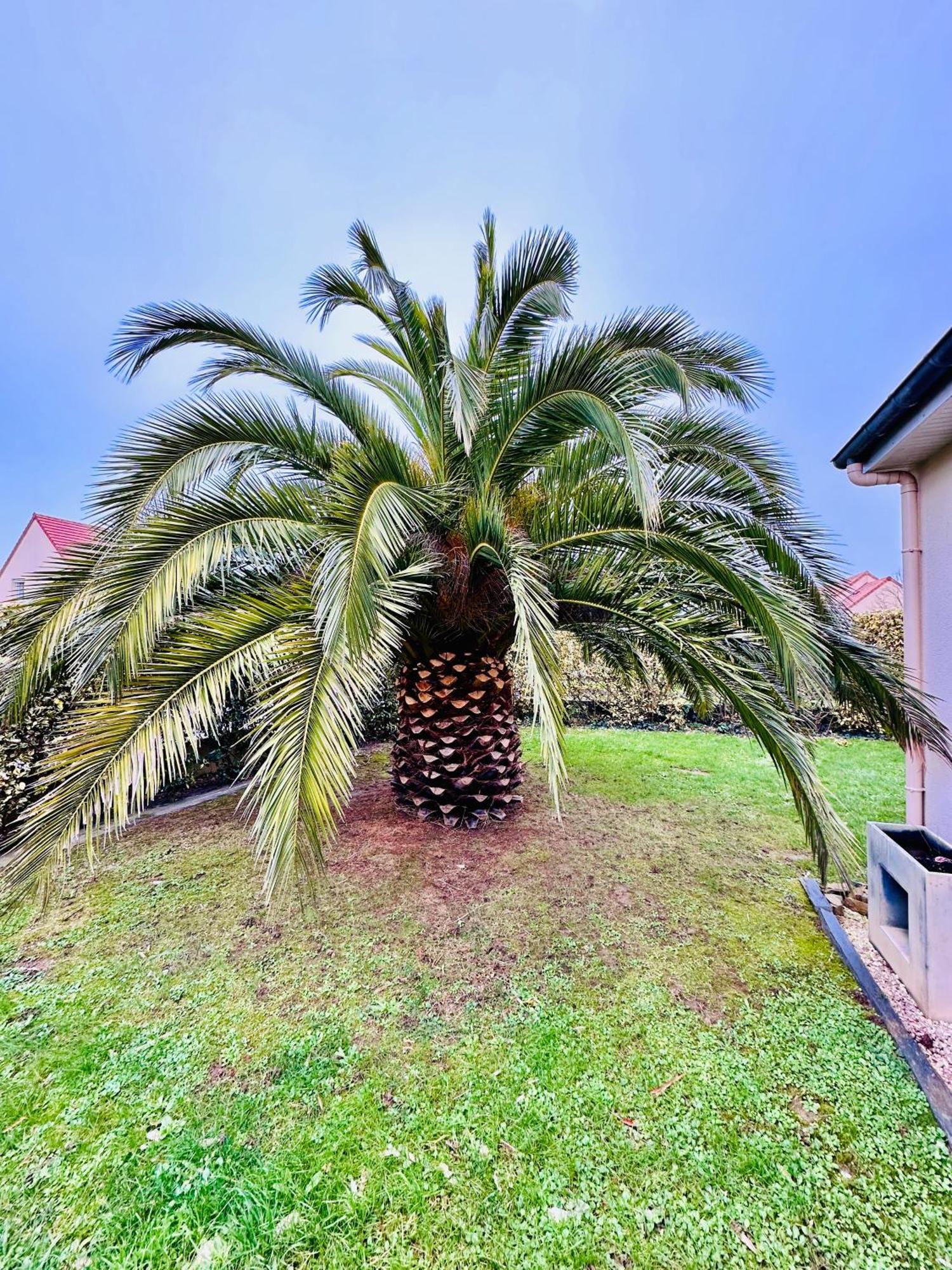 Les Palmiers Gite 7 Personnes Plages Du Debarquement Grandcamp-Maisy Exterior foto